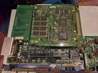 System11登場