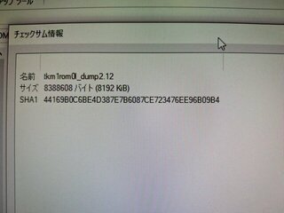 ROMは正常そう