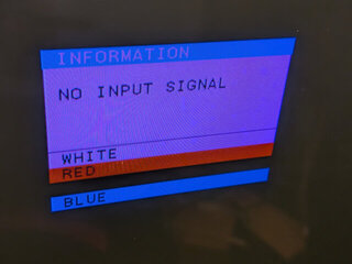 相変わらず緑が出ないまま