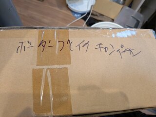 謎のダンボール箱が届く