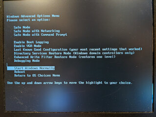 起動オプションが選べる状態に
